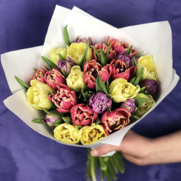 Букет из 25 пионовидных тюльпанов Взрывной Микс