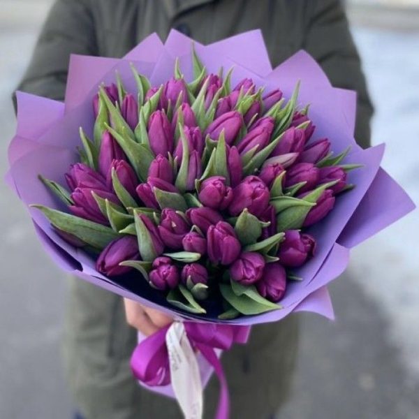 Букет из 51 фиолетовых тюльпанов