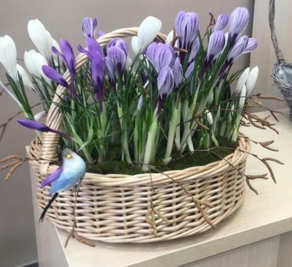 Корзинка с Крокусами