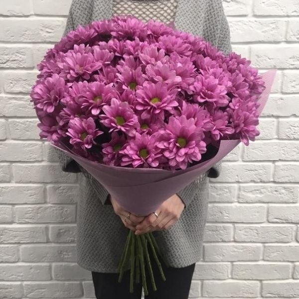 Букет из 15 сиреневых хризантем