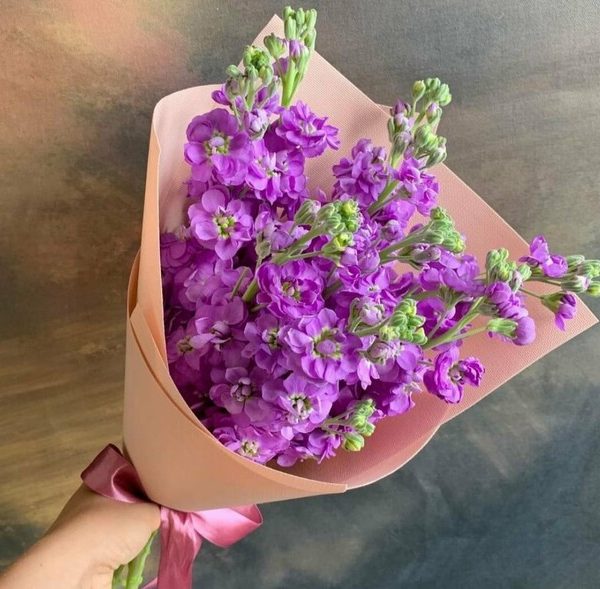 Букет из 7 матиол