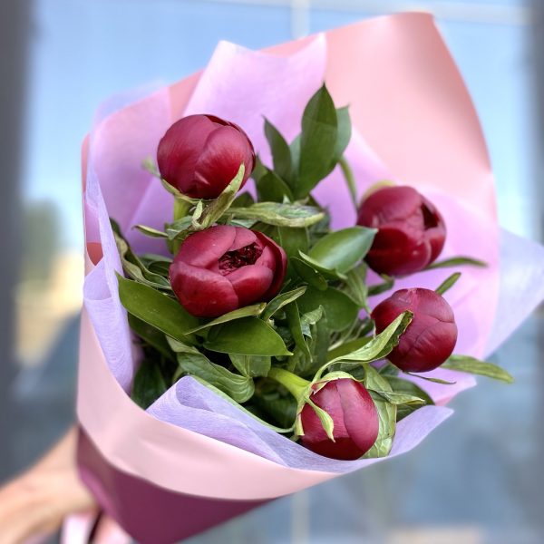 Букет из 5 бордовых пионов