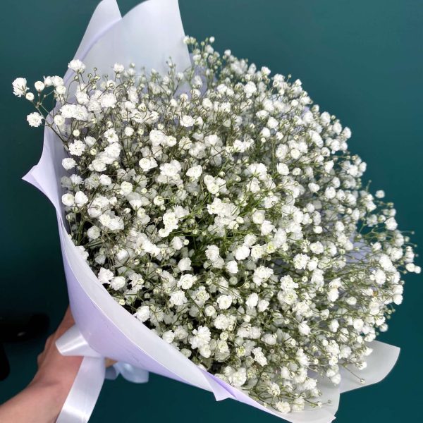 Букет из 5 веточек белой гипсофилы