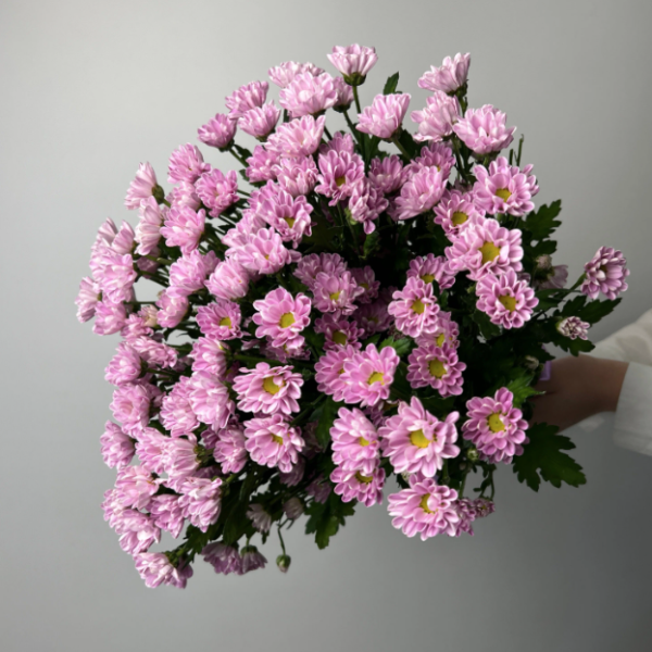 Букет из 17 сантини