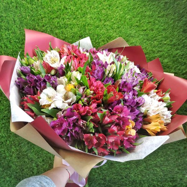 Букет из 51 веточки разноцветной альстромерии