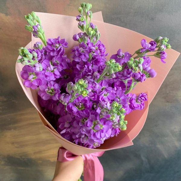 Букет из 7 розовых маттиол