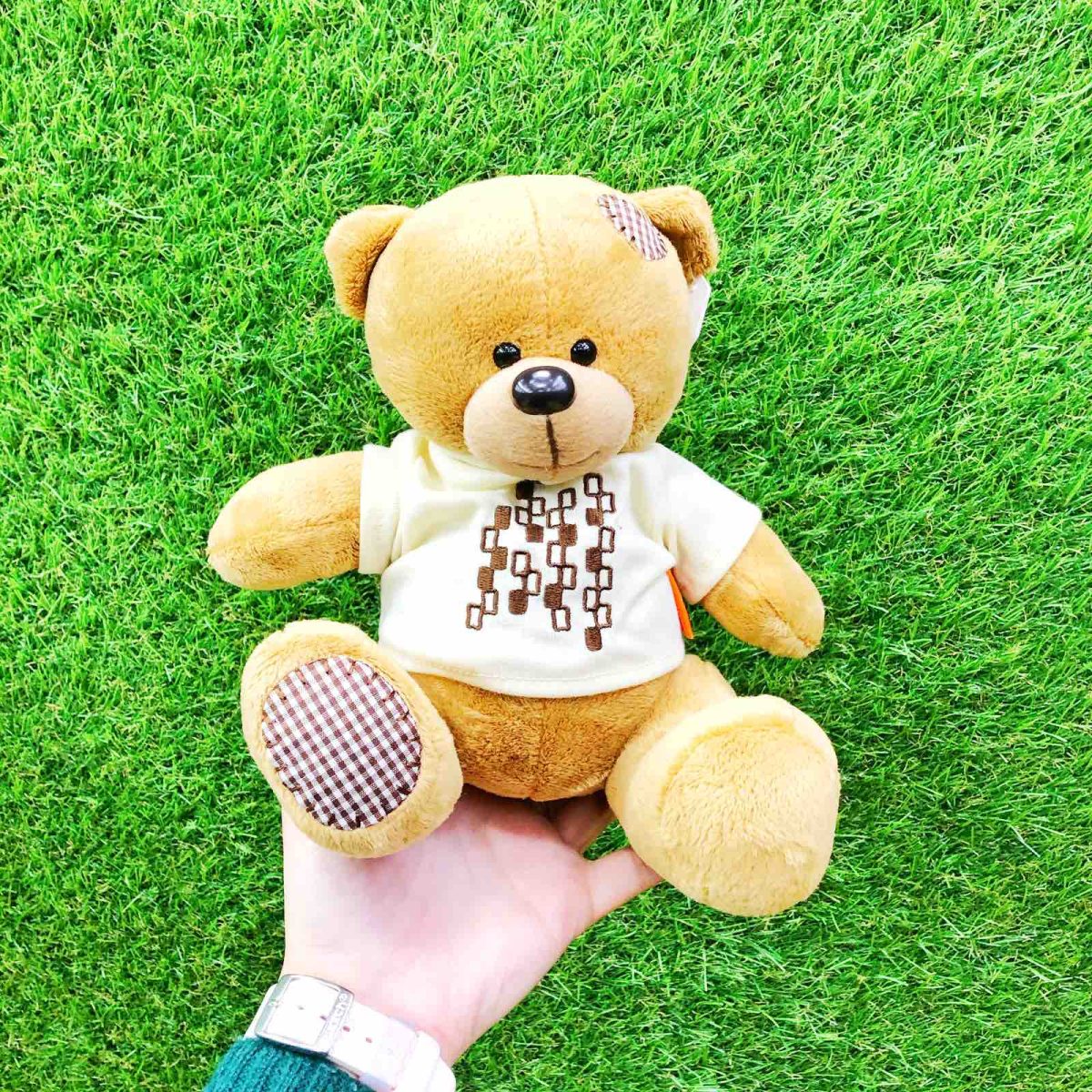 full_b46e1ca15b11272e2ae3ff029764016d Мишка Топтыжка — изображение 1