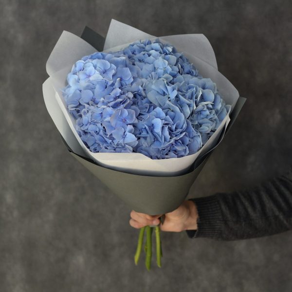 Букет из 5 голубых гортензий