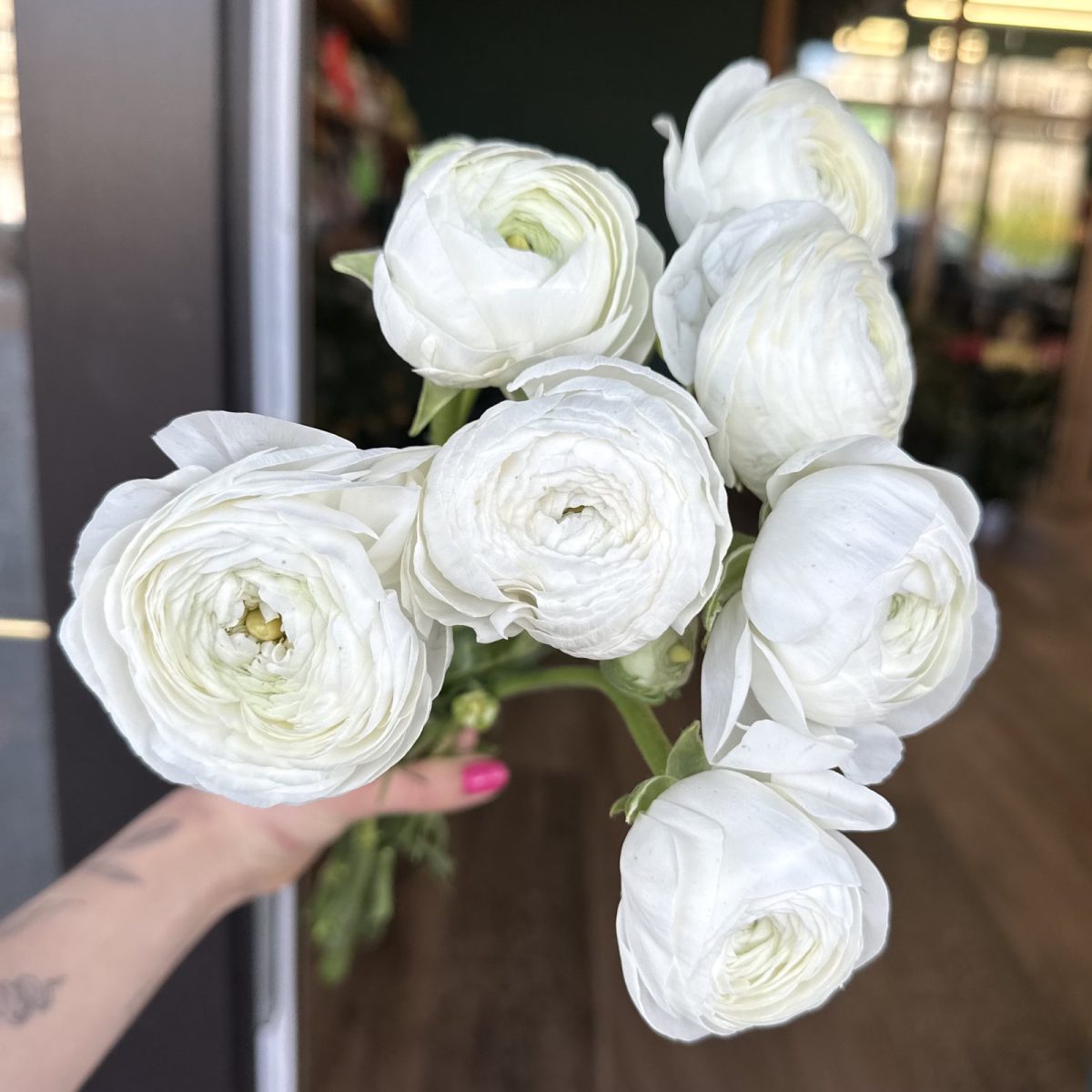 full_e47f9160fea69a6a42b3d0906aa53118 Букет из ранункулюсов — изображение 1