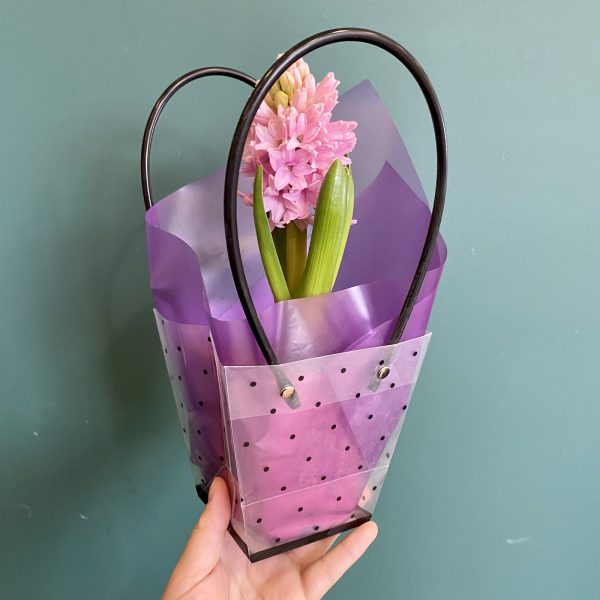 Акция! Гиацинт розовый в оформлении