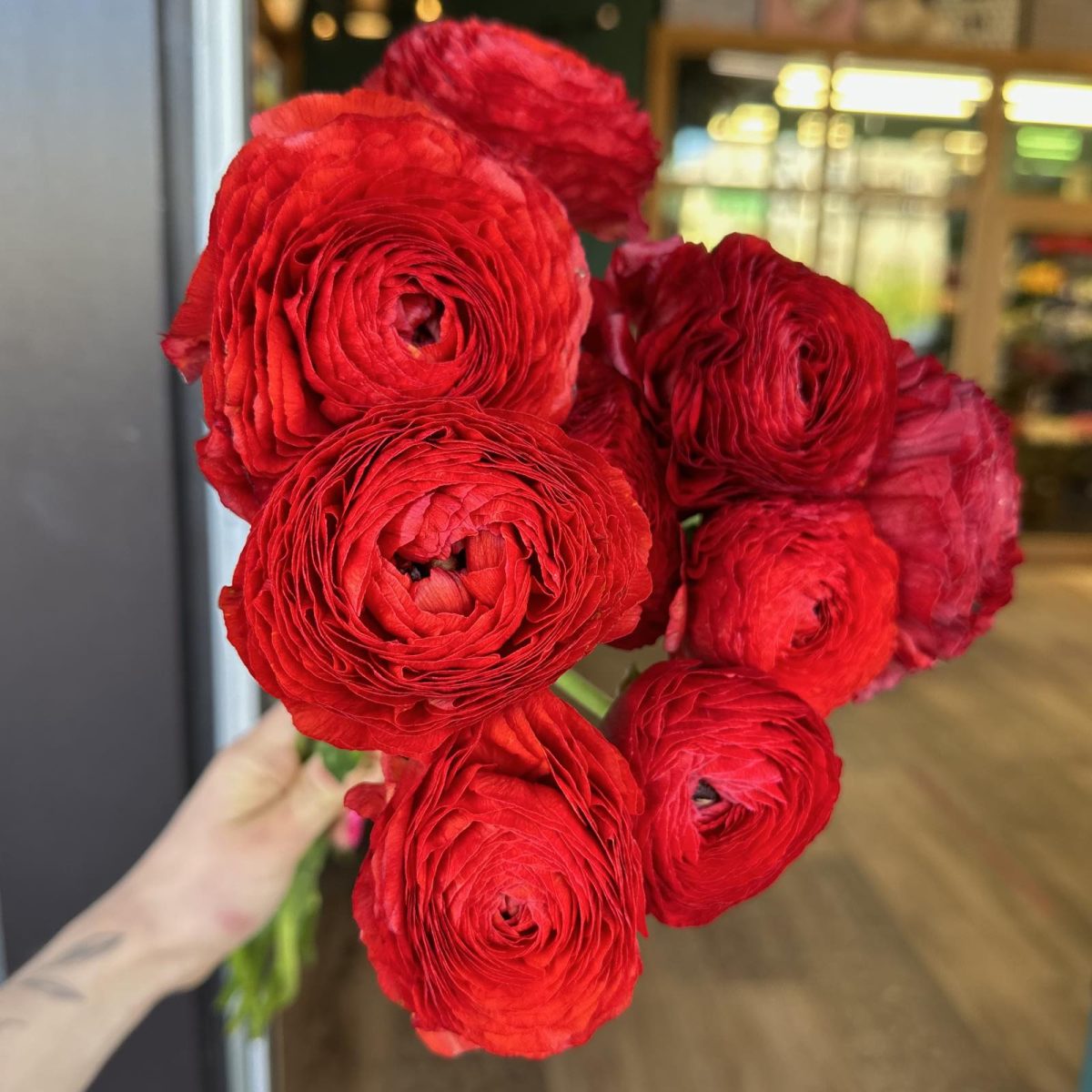 full_fa0a16eb18f5eb523090964f68df4c41 Букет из красных ранункулюсов — изображение 1