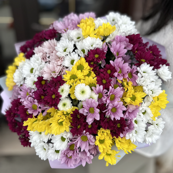 Букет из 25 разноцветных хризантем